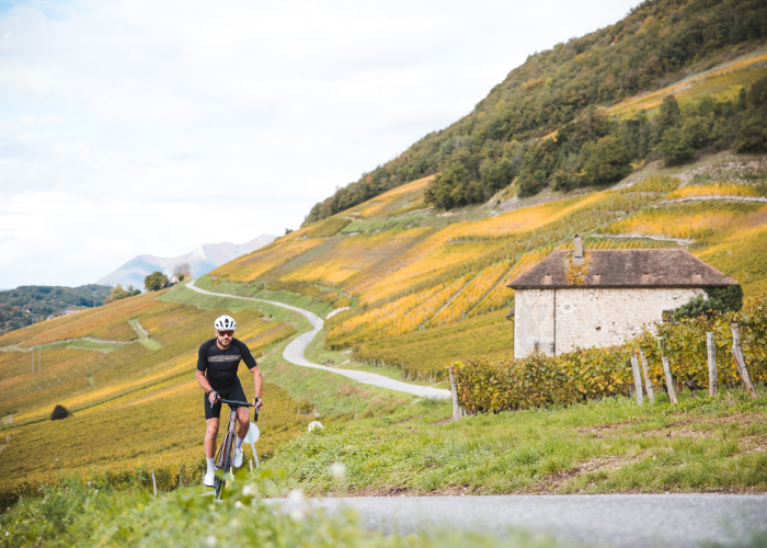 Alanis-DUC-MAVIC-2025