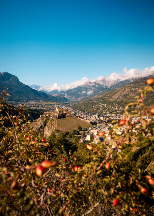 Alanis-DUC-championnat-france-athletisme-2025 