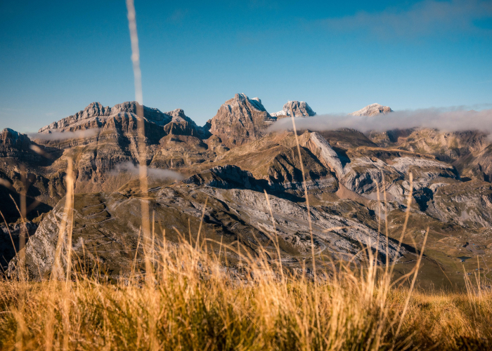 Alanis-DUC-équipe-de-france-trail-2025